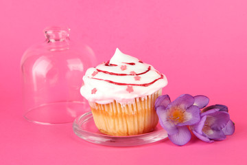 Cupcake on saucer with glass cover, on color background