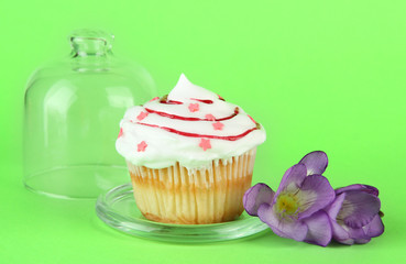 Cupcake on saucer with glass cover, on color background