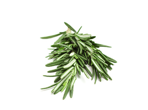 bunch of rosemary isolated on white background