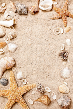 Seashell and starfish frame in the sand