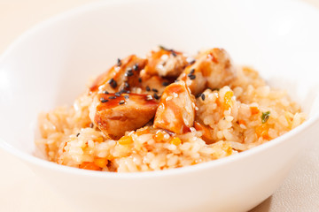 rice with chicken
