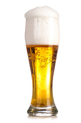 fresh lager beer