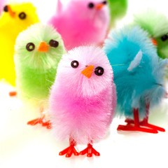 a group of easter chicken