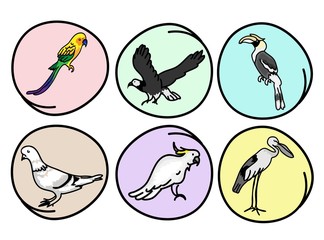 An Illustration Set of Beautiful Wild Birds