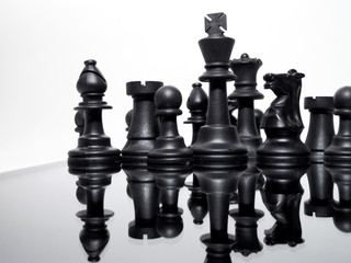 chess pieces on the board