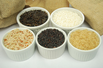 Obraz na płótnie Canvas Tipos de arroz