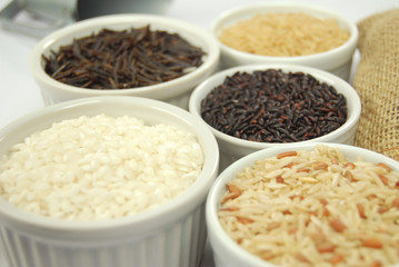 Tipos de arroz 1