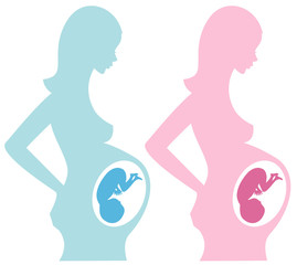 Set of two pregnant women silhouetter with baby embryo