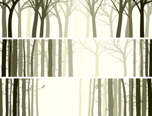 Horizontal banner with many tree trunks. - 49498559