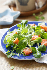 Salad with salmon