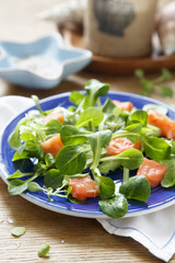 Salad with salmon