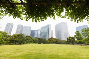 Foto op Plexiglas Tokyo skyscrapers views from a park © Anthony Brown