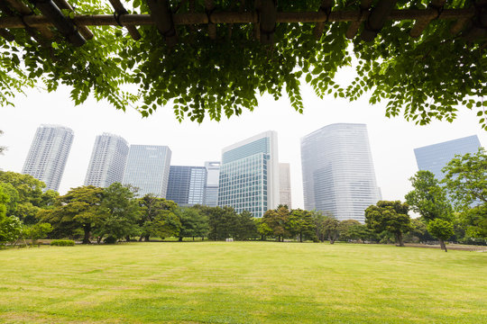 Tokyo skyscrapers views from a park