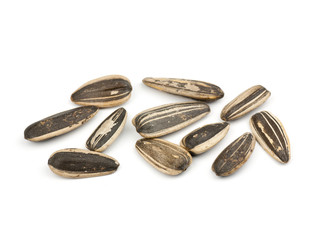 Sunflower seed
