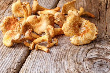 chanterelles mushroom on wooden background