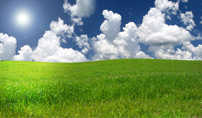 cesped con cielo azul