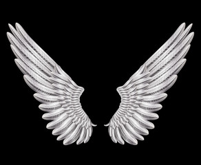 silver wings