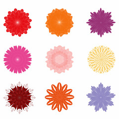 Vector flowers