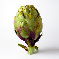 Obraz premium Antichoke