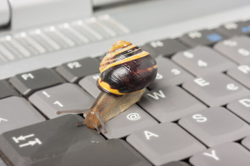Drosselung bei LTE - Schnecke auf einer Tastatur