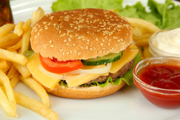 Tasty cheeseburger with fried potatoes, on bright background