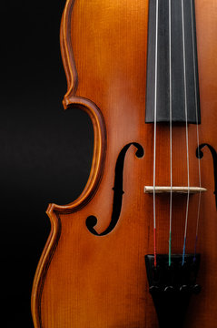 Violin front view cropped