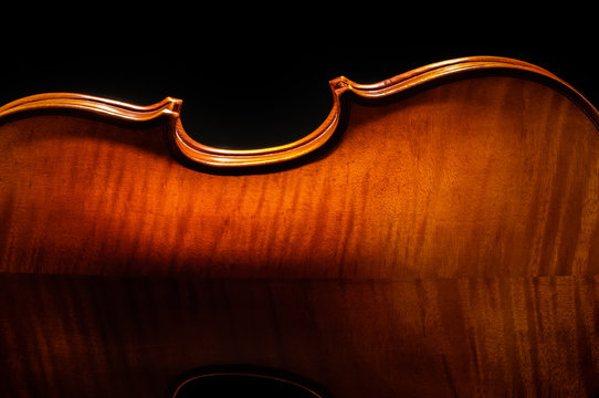 Violin rear view cropped
