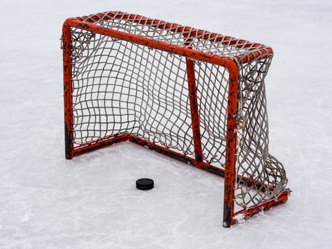 Hockey Puck In Kids Net