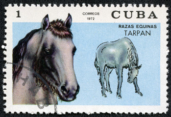 stamp printed in Cuba shows Thoroughbred horse