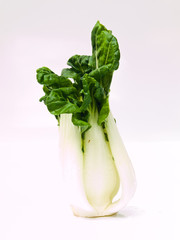 Fresh baby bok choy, Brassica rapa chinensis,  isolated on white