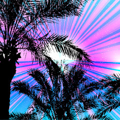 Palms and sunset on tropical background.
