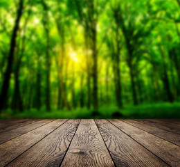 Fototapeta premium wood