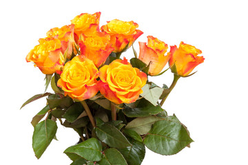 Bouquet of red and yellow roses flowers isolated on white