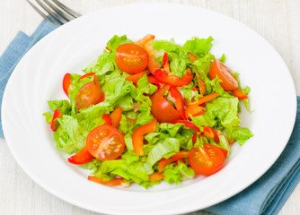 fresh vegetable salad on plate