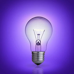 light bulb purple on background