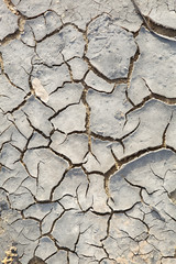 dry cracked earth
