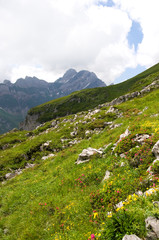 Fototapeta na wymiar Altmann - Alpstein - Alpy - Szwajcaria