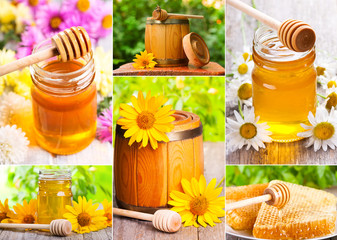honey collage