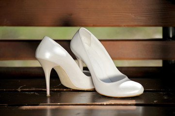 Elegant Shoes on Bench