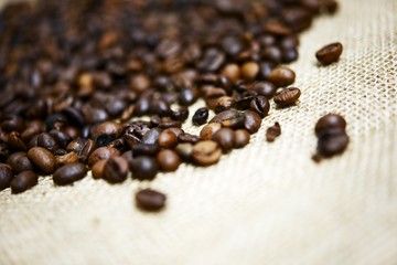 Coffee Beans Theme