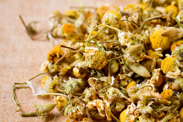 dried chamomile flowers with colander on wooden plate