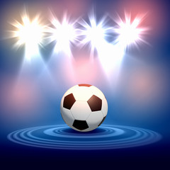 Fototapeta premium black and white soccer ball