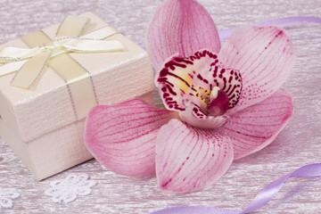 Gift and orhid flower