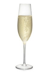 glass of the champagne wine