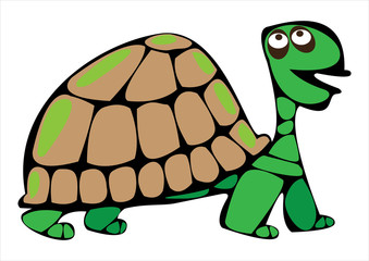 vector cartoon turtle isolated on white background