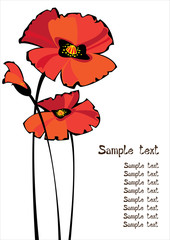 red vector poppies isolated on white background with copyspace