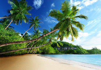 sunset on beach, Mahe island, seychelles - obrazy, fototapety, plakaty