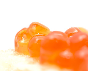 red caviar. macro