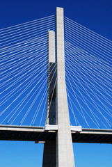 Naklejka premium Vasco da Gama bridge