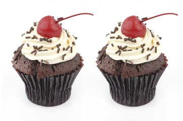 twin cupcake